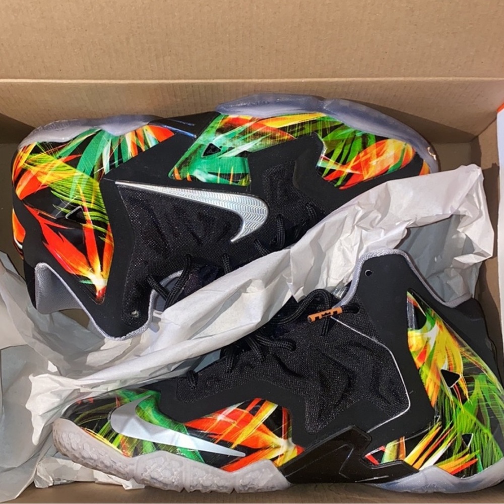 lebron 11 "everglades"
